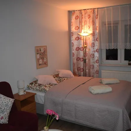 Gościnne U Kasecki Apartament *