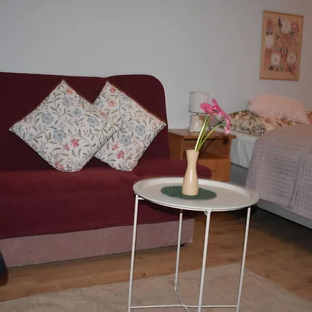 Gościnne U Kasecki Apartament
